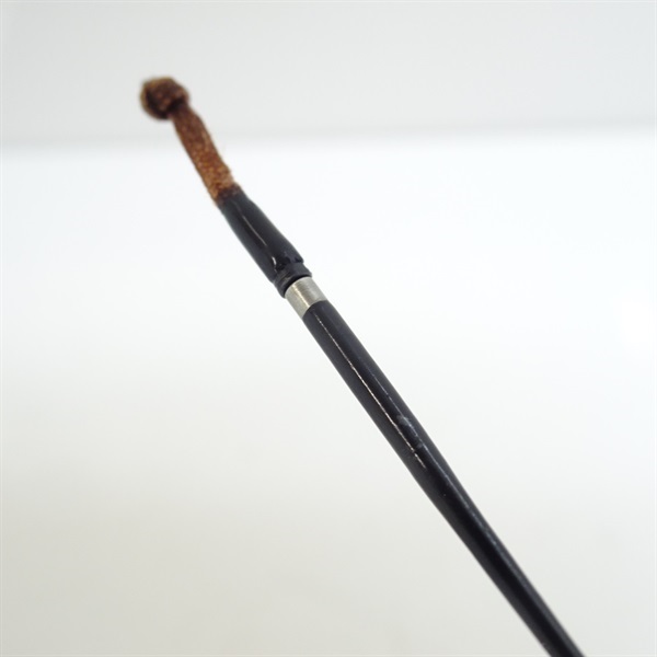 普天元 大我十三